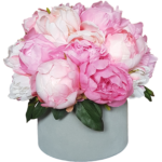 Flower box piwonie różowe w szarym welurowym pudełku M