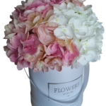 Flower box hortensje białe i różowe M