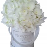 Flower box hortensje białe S