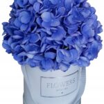 Flower box hortensje niebieskie M