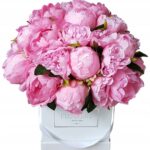 Flower box piwonie różowe w kwadratowym pudełku L