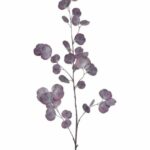 Eukaliptus bordowy naturalny w dotyku 100cm