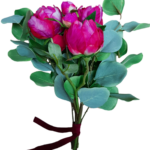 Bukiet piwonii z eukaliptusem