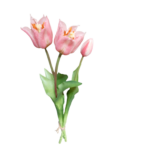 Bukiet tulipanów różowych naturalnych w dotyku