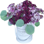 Flower box fioletowy lilak bez kwiaty bzu S