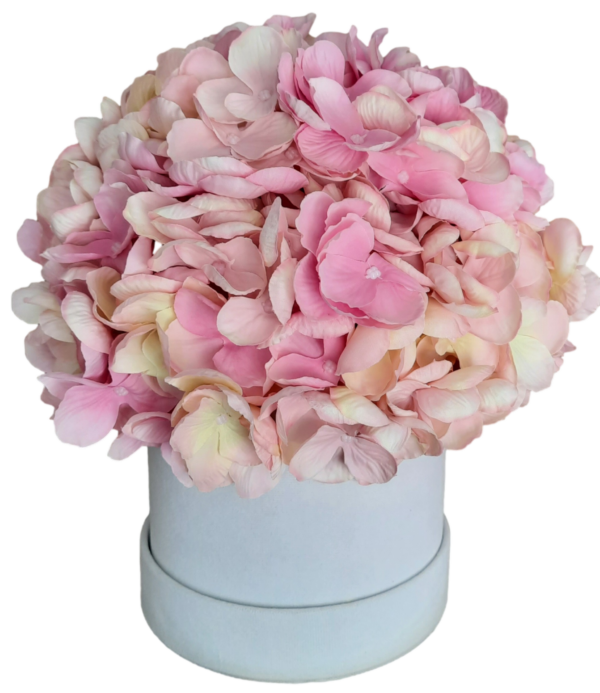 Flower box hortensje różowe w białym welurowym pudełku S