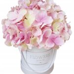 Flower box hortensje różowe cieniowane S