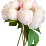 Bukiet jasnoróżowych piwonii
