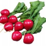 Rzodkiewki ozdobne 8szt.