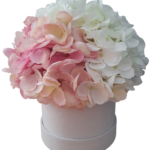 Flower box hortensje biało-różowe w białym welurowym pudełku S