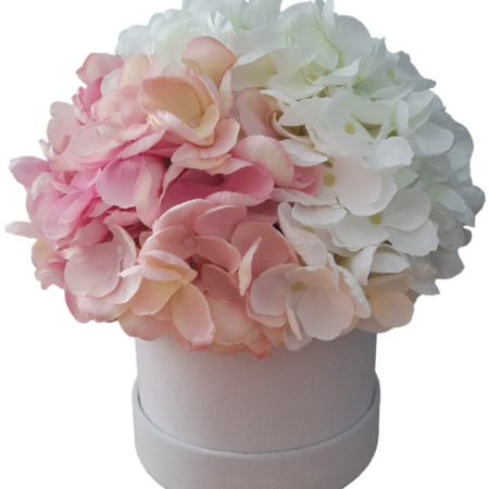 Flower box hortensje biało-różowe w białym welurowym pudełku S