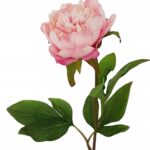 Gałązka piwonii różowa 50cm