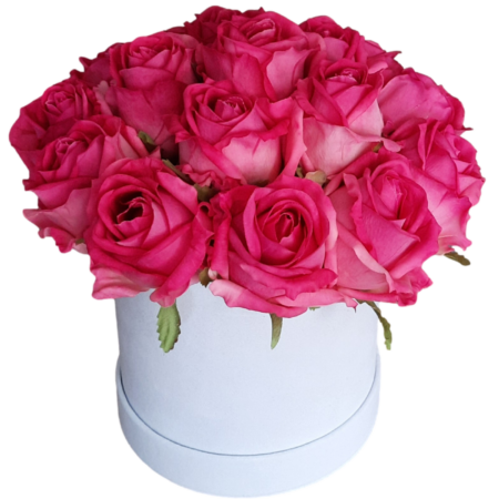 Flower box róże w kolorze fuksji w białym welurowym pudełku M