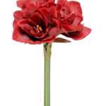 Amarylis czerwony naturalny w dotyku 60cm