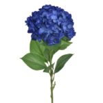 Hortensja wysoka ciemnoniebieska granatowa 80cm