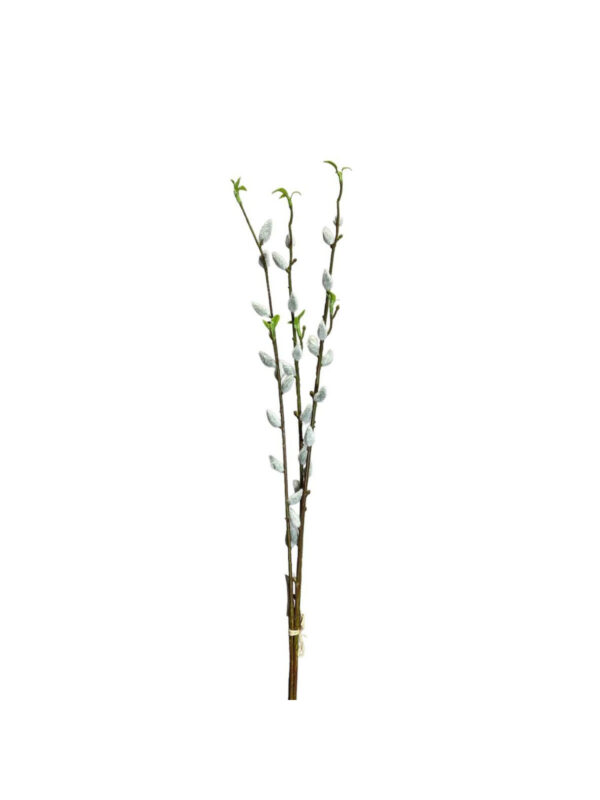 Wiosenne bazie pęczek bukiet 72cm