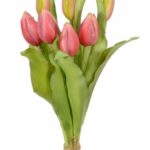 Bukiet pęczek 7 tulipanów tulipany gumowe różowe pąki