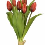 Bukiet pęczek 7 tulipanów tulipany gumowe czerwone pąki