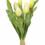 Bukiet pęczek 7 tulipanów tulipany gumowe białe pąki