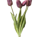 Bukiet tulipanów tulipany fioletowe gumowe 5szt.