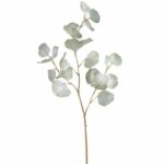 Eukaliptus zielony bielony gałązka eukaliptusa 70cm