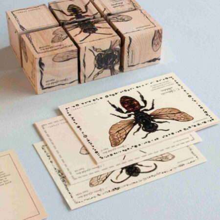 Wooden Story drewniane klocki życie pszczoły gatunki