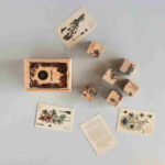 Wooden Story drewniane klocki życie pszczoły rośliny miododajne