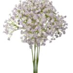 Gipsówka kaszka fioletowa dodatek do bukietu