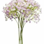 Gipsówka kaszka jasnoróżowa dodatek do bukietu