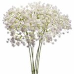 Gipsówka kaszka biała dodatek do bukietu