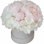 Flower box piwonie jasnoróżowe hortensje białe w welurowym pudełku S