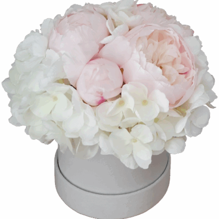 Flower box piwonie jasnoróżowe hortensje białe w welurowym pudełku S