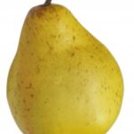 Gruszka żółta sztuczne owoce