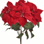 Poinsecja czerwona kwiaty welurowe duży bukiet 62cm