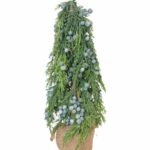 Choinka mała jałowiec w worku 30cm