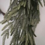 Girlanda sosna bielona naturalna w dotyku 150cm