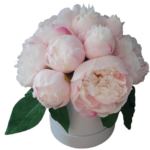 Flower box jasnoróżowe piwonie peonie w pudełku welurowym S