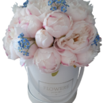 Flower box jasnoróżowe piwonie peonie niezapominajki M