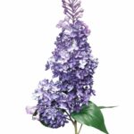 Bez lilak fioletowy silikonowy gumowy 70cm