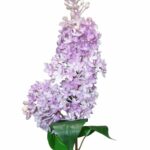 Bez lilak fioletowy silikonowy gumowy bez 70cm