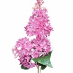 Bez lilak różowy fuksja silikonowy gumowy 70cm