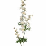 Ostróżka wysoka biała 80cm