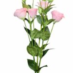 Gałązka eustoma 75cm