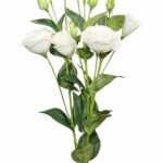 Gałązka eustoma biała 75cm