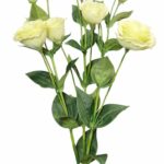Gałązka eustoma 75cm